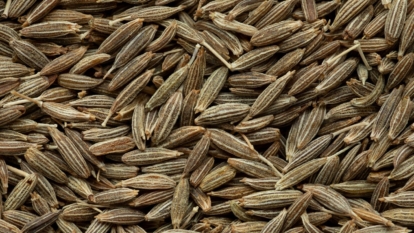 A pile of whole Cuminum cyminum appearing to have various shades of brown placed under bright light with each piece placed on top of one another