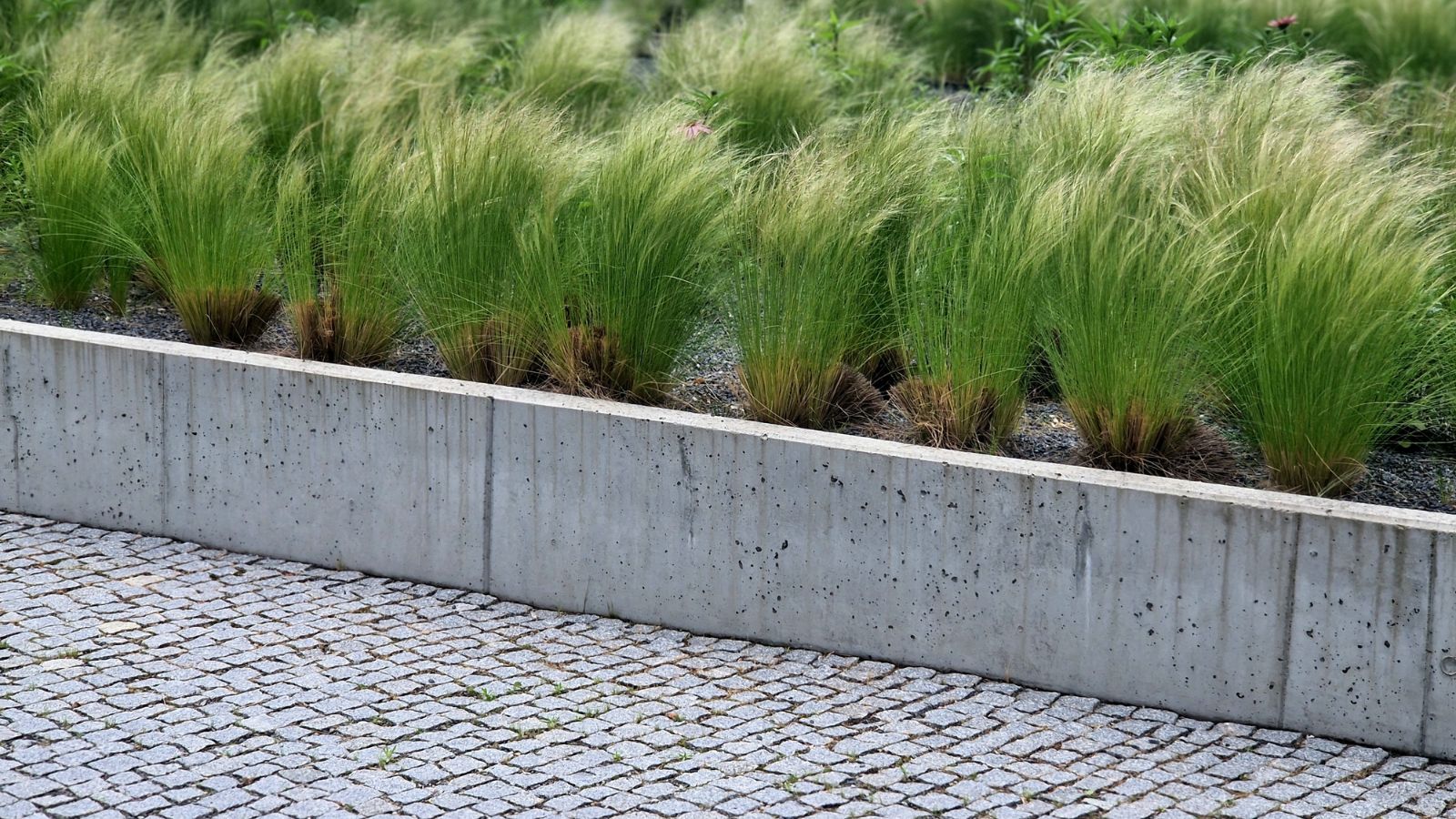 A close-up shot of a solid large planter, filled with soil and plants, placed along a brick pavement outdoors
