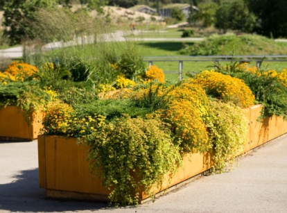 A shot of a composition of solid large containers, fileld with plants and flowers, showcasing raised bed on concrete