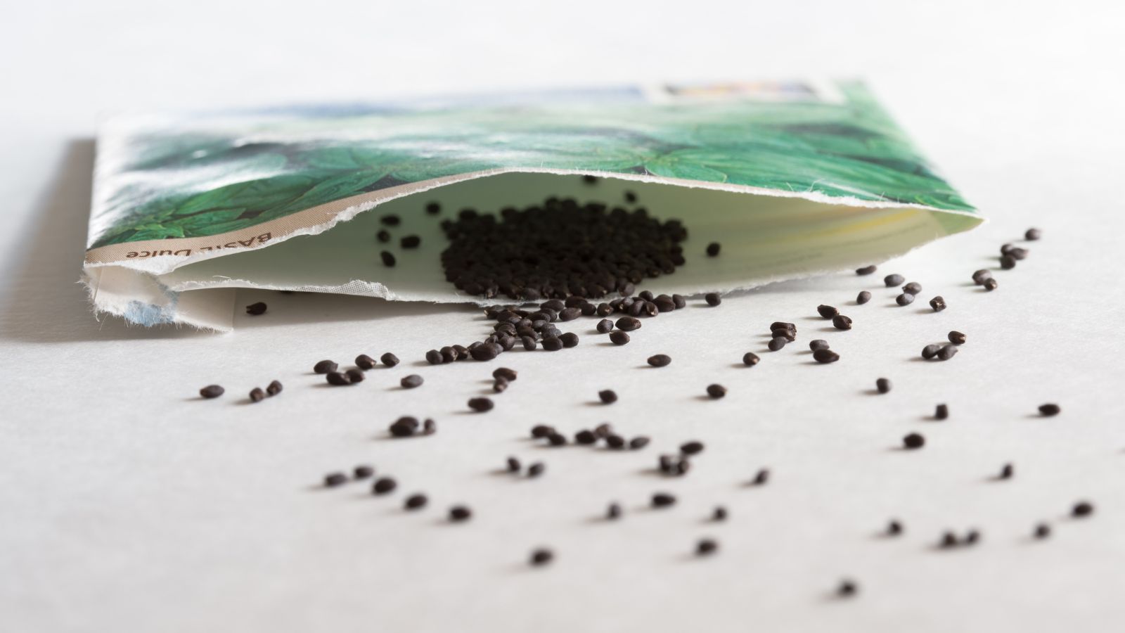 A close-up shot of a seed packet with spilled seeds of an herb on a white surface indoors