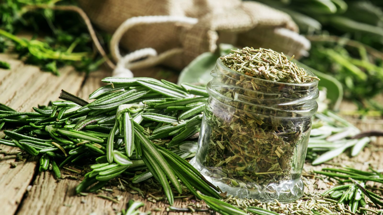 A shot of dried and fresh leaves of an herb in a well lit area indoors
