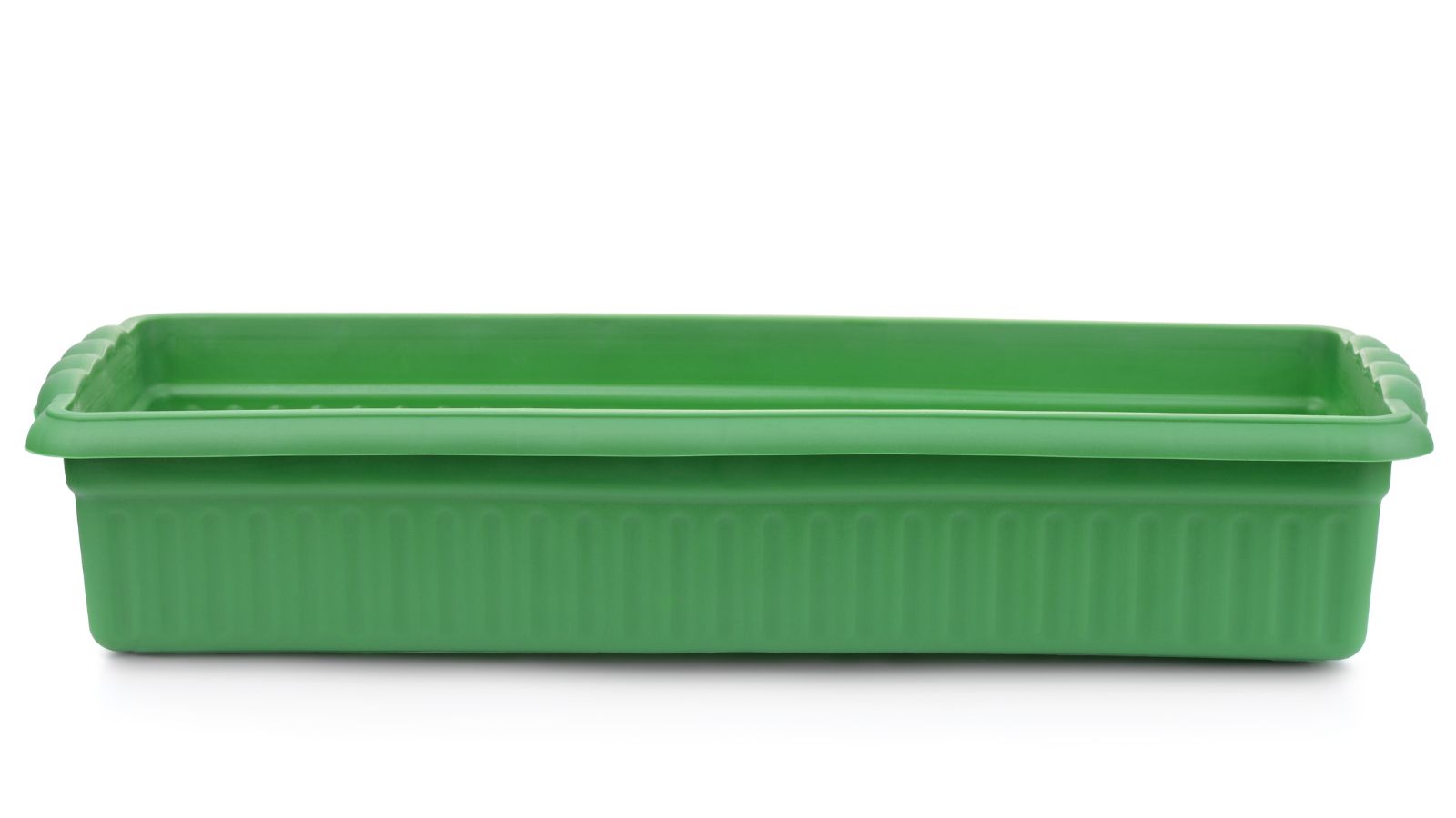 An isolated shot of a green colored shallow container in a well lit area