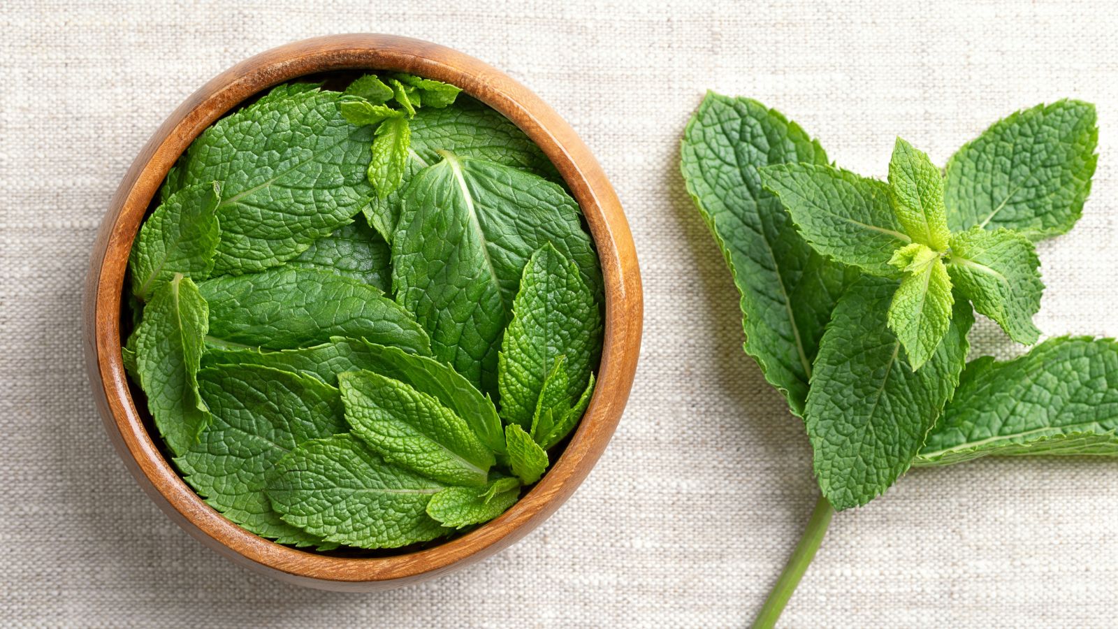 An overhead flat-lay shot of fresh leaves of an herb