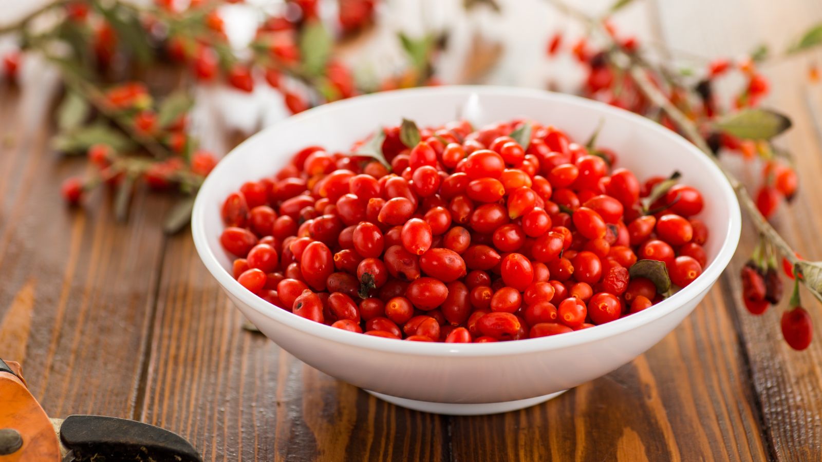 A shot of a bowl of freshly harvested red fruits placed on a wooden surface indoors