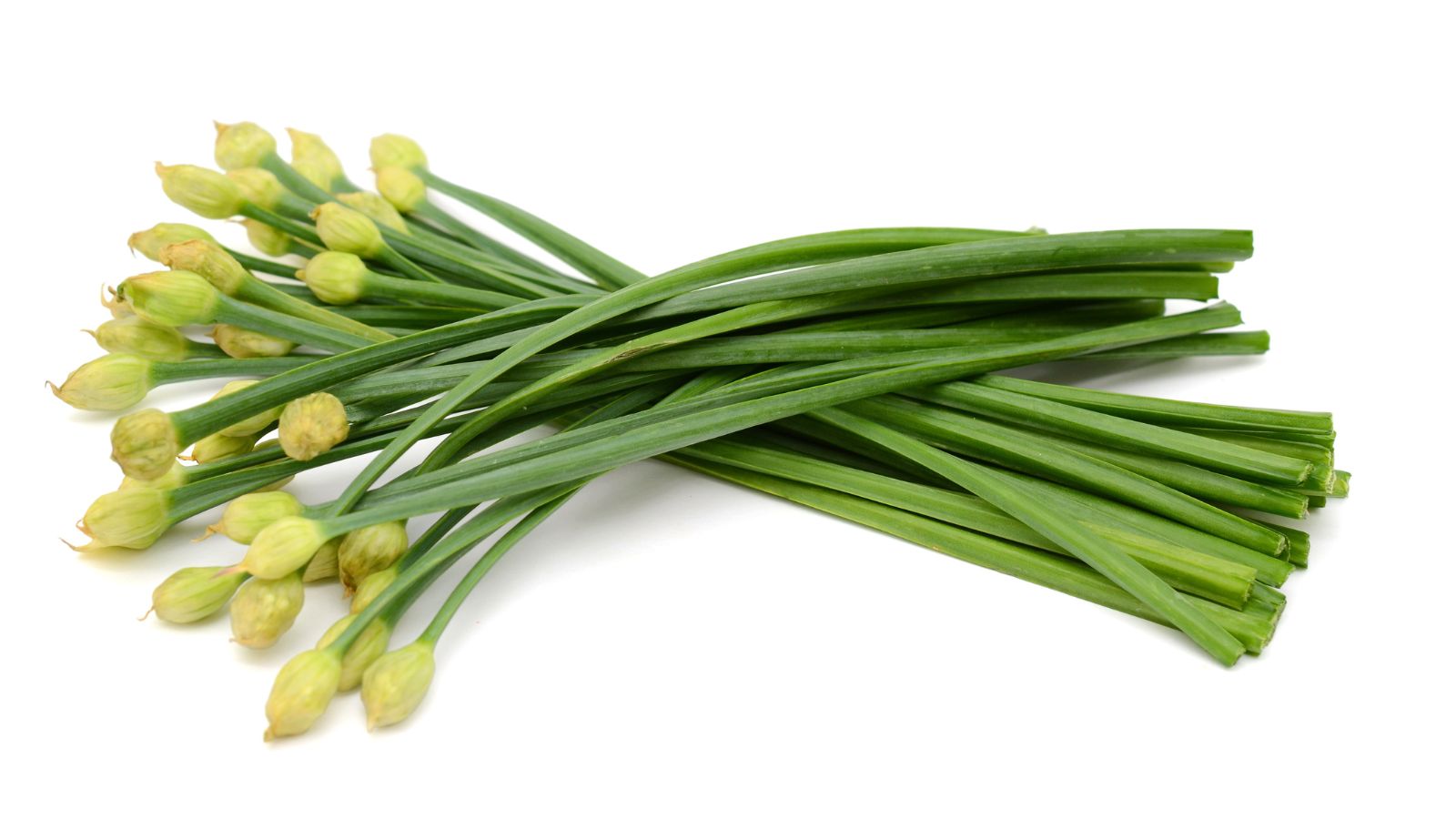 An isolated shot of freshly harvested alliums