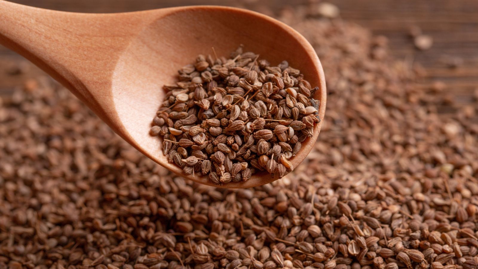A pile of Pimpinella anisum seeds being scooped up by a wooden spoon, with the pile of seeds placed on a brown wooden surface