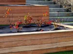 A shot of a terraced garden with wooden retaining walls that shows how to build raised bed on a slope