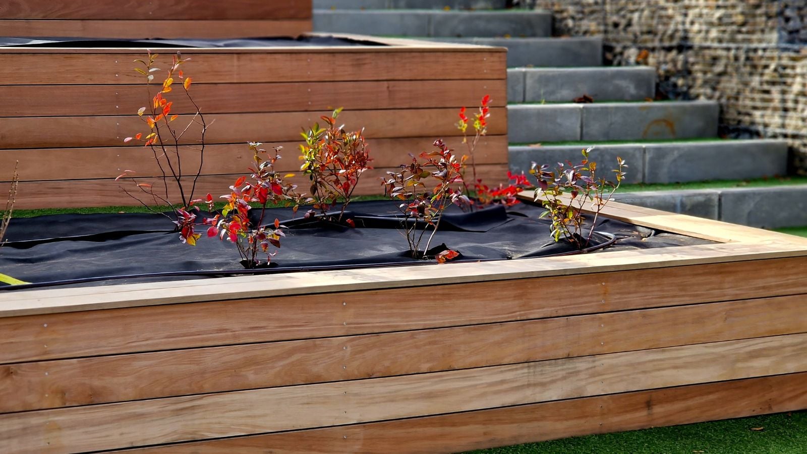 A shot of a terraced garden with wooden retaining walls that shows how to build raised bed on a slope