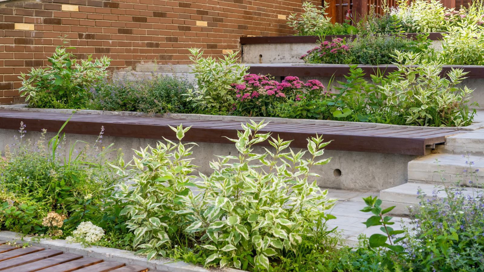 A shot of a terraced garden on a slanted terrain with several different plants and flowers growing in a well lit area
