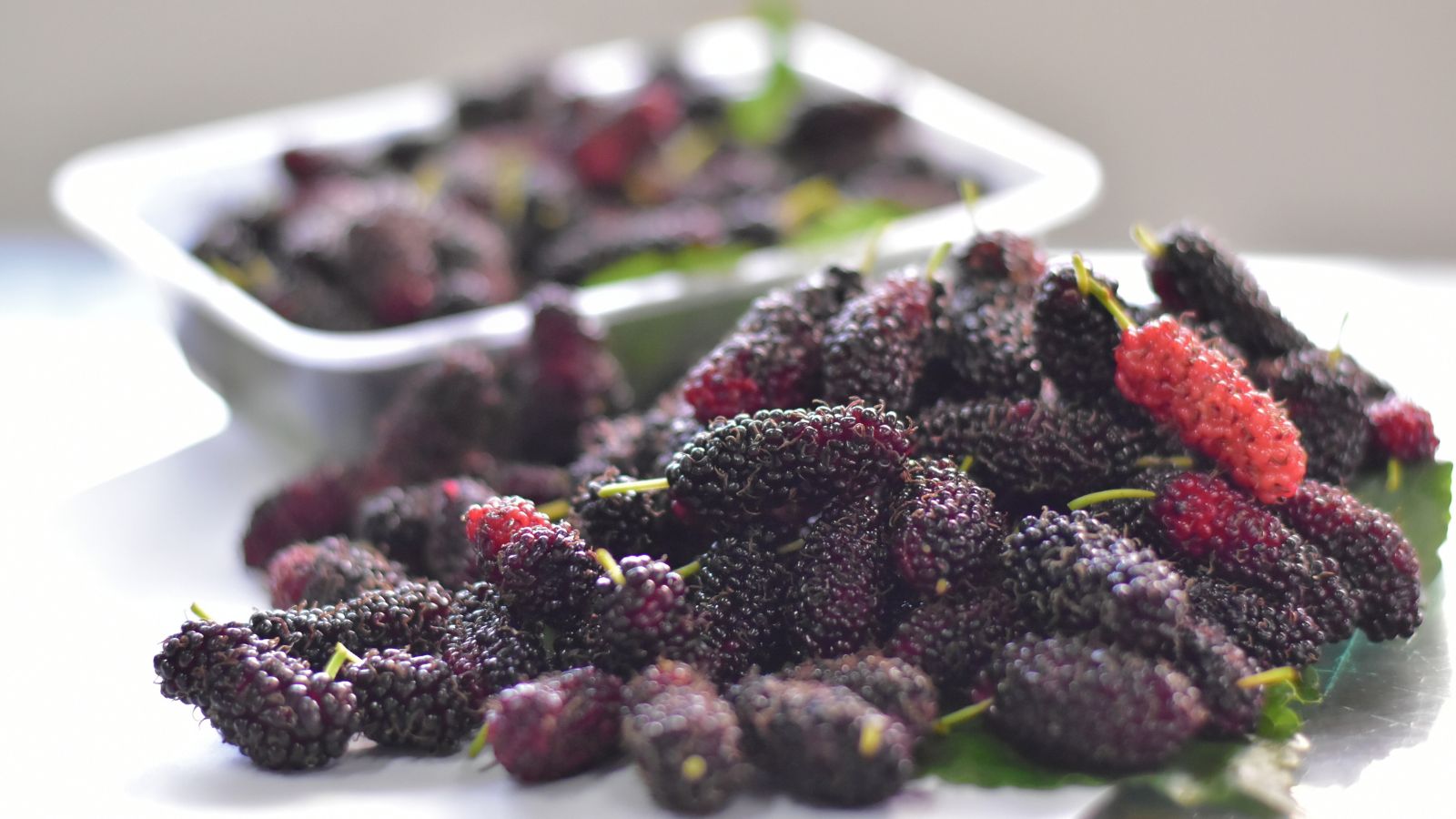 A shot of freshly harvested fruits in a well lit area
