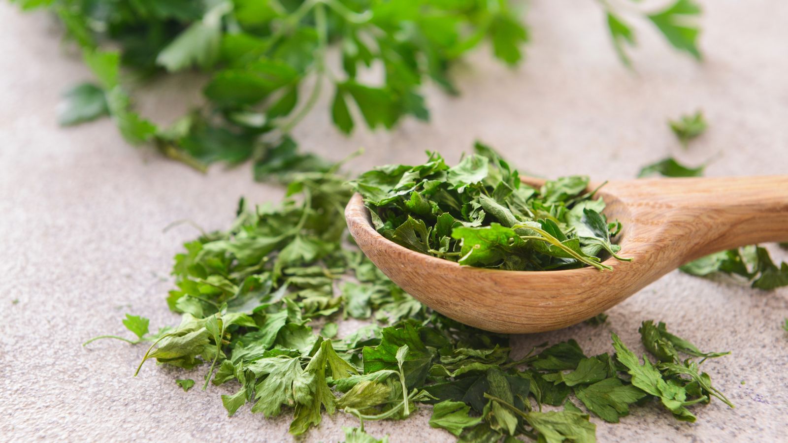 Petroselinum crispum dried and placed in a wooden spoon, appearing to be somewhere bright with lots of warm light