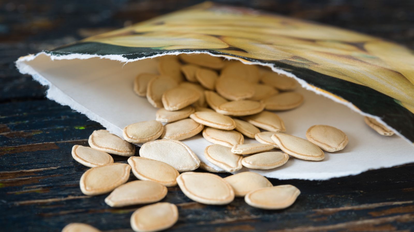 A shot of seeds spilled out from a packet in a well lit area outdoors