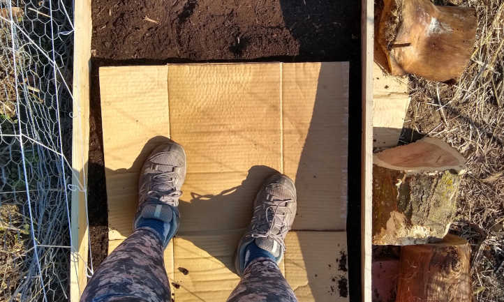Tamping down compost with cardboard
