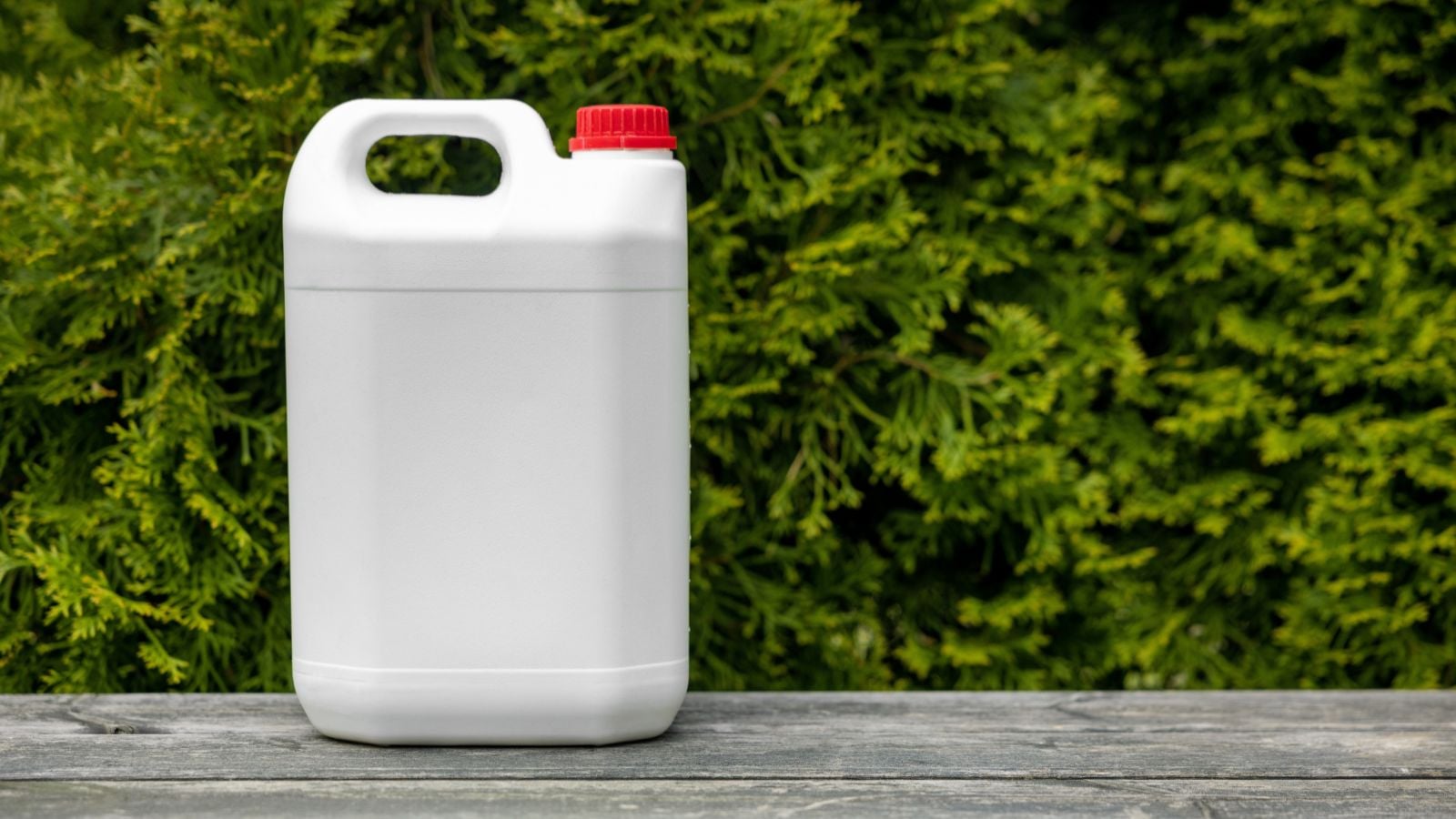 When urine as fertilizer, place it in the proper container, ideal for pouring it on various plants in the garden