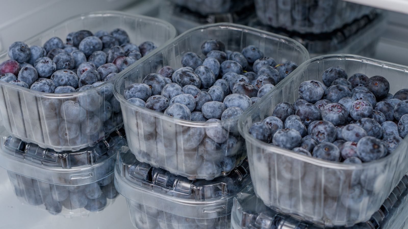 A shot of freshly harvested fruits placed in plastic containers placed inside the refrigerator