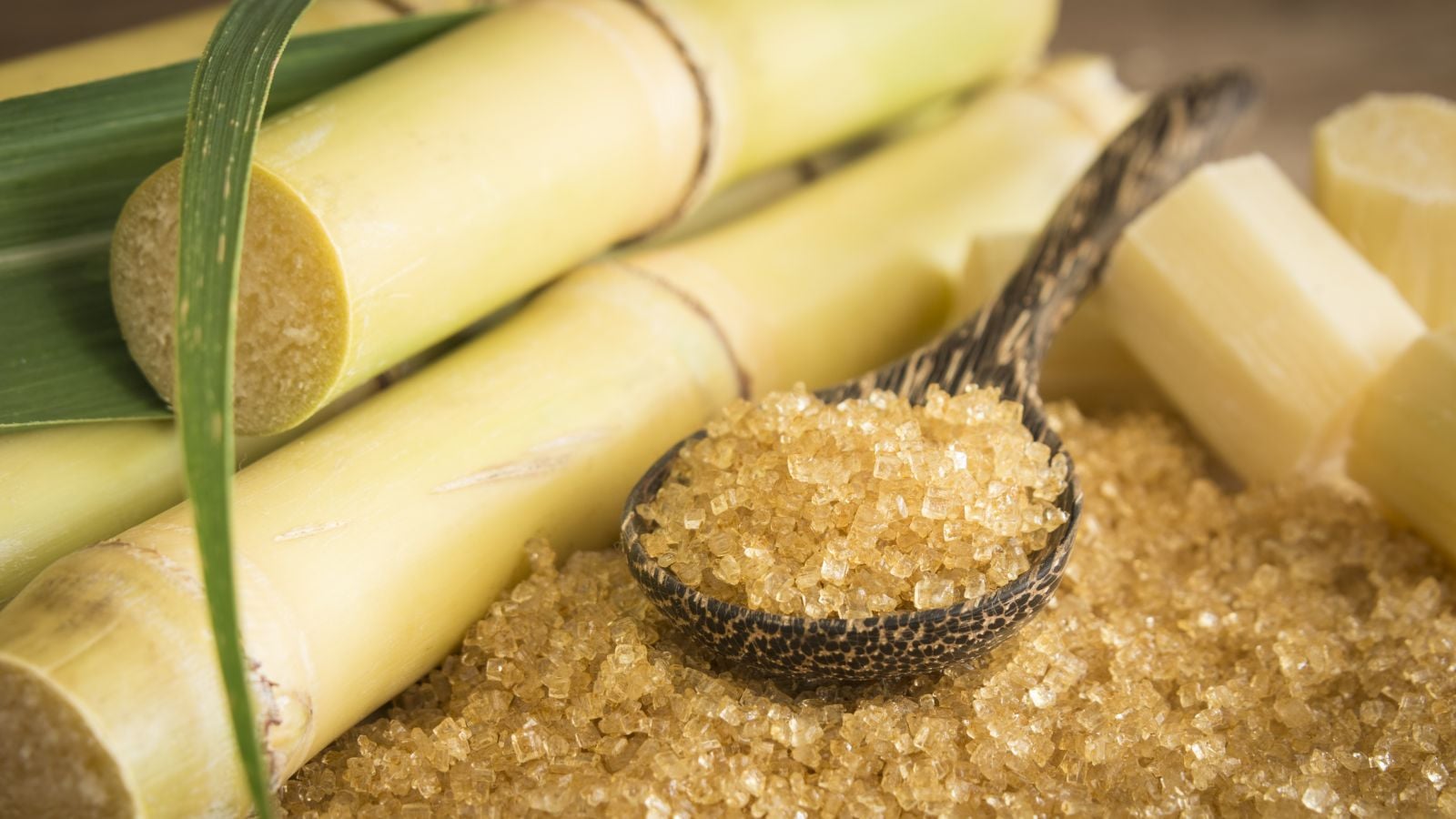A closeup shot of a spoonful of sugar surrounded by Saccharum officinarum cuttings placed on a wooden table looking well-lit