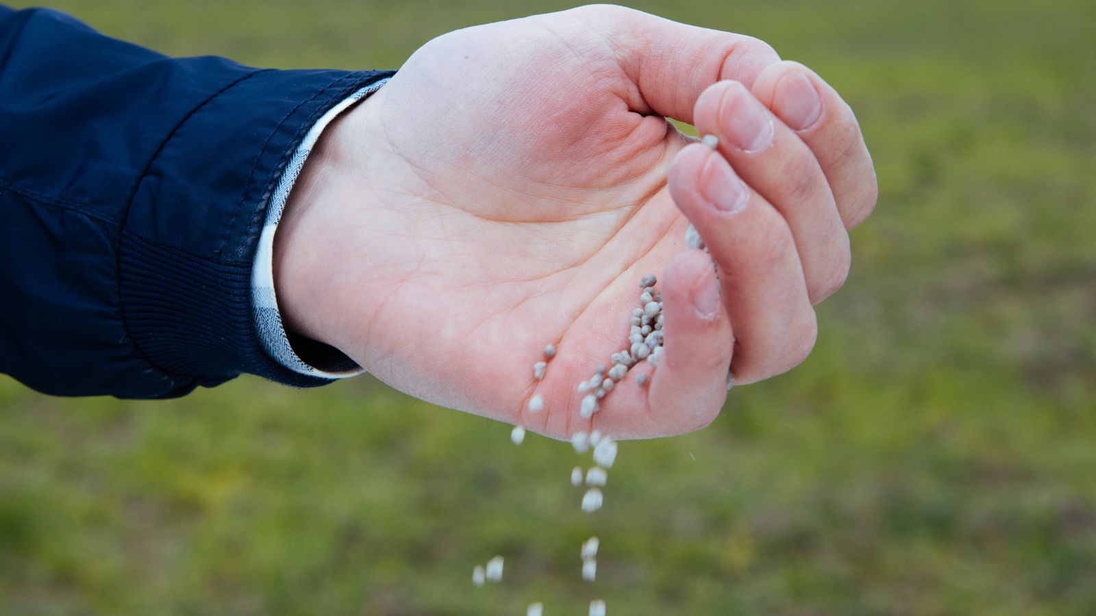 A shot of a person's hand scattering granular fertilizer on the ground in a well lit area outdoors