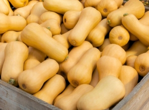 A shot of a wooden create filled with orange crops that showcases when to harvest butternut squash