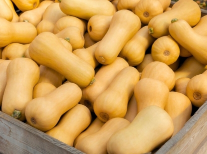 A shot of a wooden create filled with orange crops that showcases when to harvest butternut squash