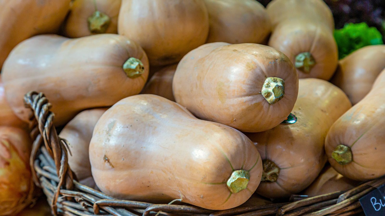 A shot of freshly collected fruits that is piled on top of each other and is placed in a basket in a well lit area indoors