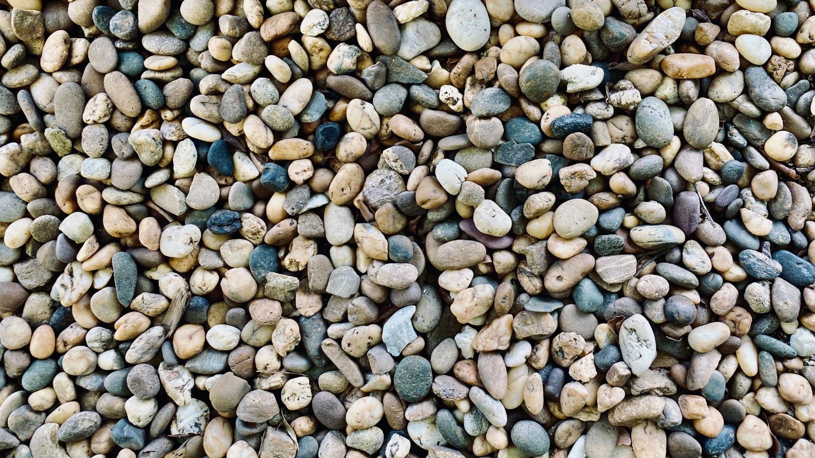 A close-up shot of a large composition of small rocks of the Pea Gravel, all situated in a well lit area outdoors