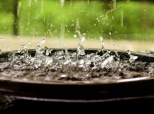 A large black container placed outdoors in the garden to help with collecting rainwater