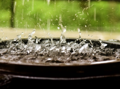 A large black container placed outdoors in the garden to help with collecting rainwater