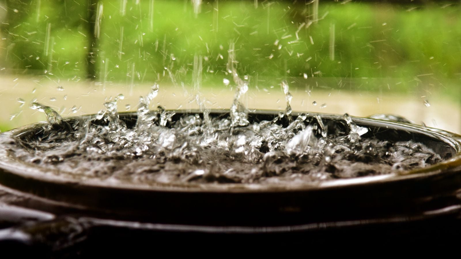 A large black container placed outdoors in the garden to help with collecting rainwater