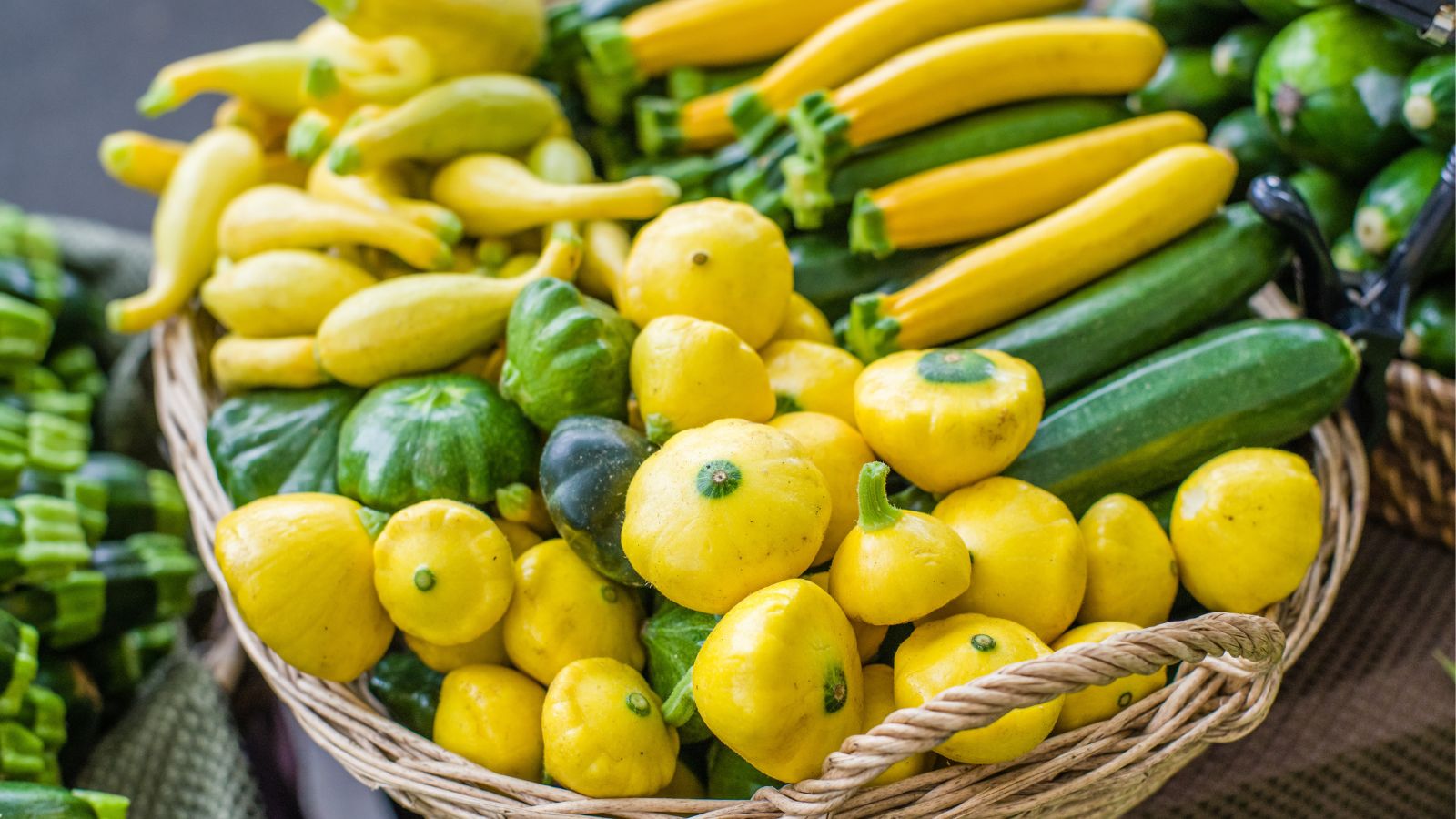 A shot of freshly harvested summer gourds on a woven wicker basket in a well lit areas