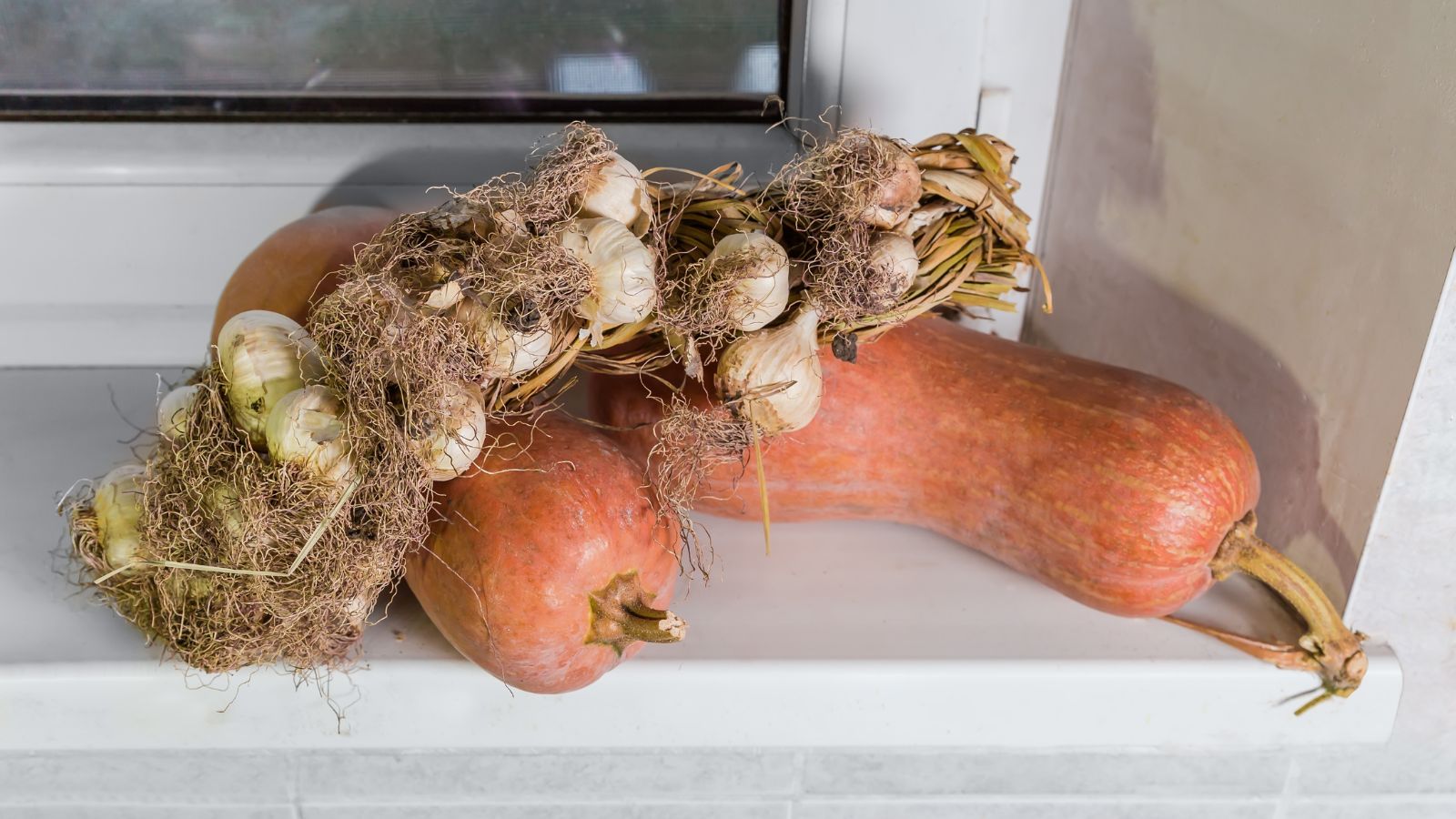 A shot of several harvest orange crops alongside other crops near a window indoors