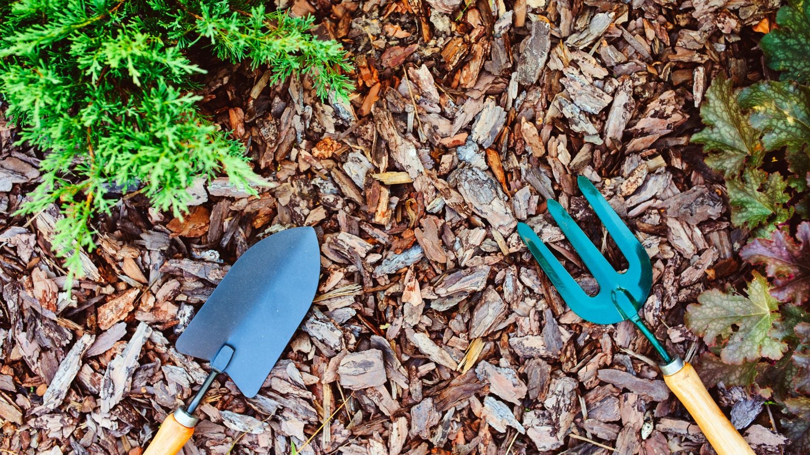 Two pieces of gardening tools laying on top of wood chip mulch placed on the ground in the garden