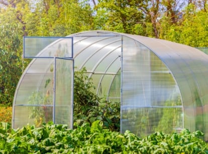 Raised bed greenhouse in the garden, appearing to have many lush plants inside and outside the enclosure, placed somewhere with abundant sunlight