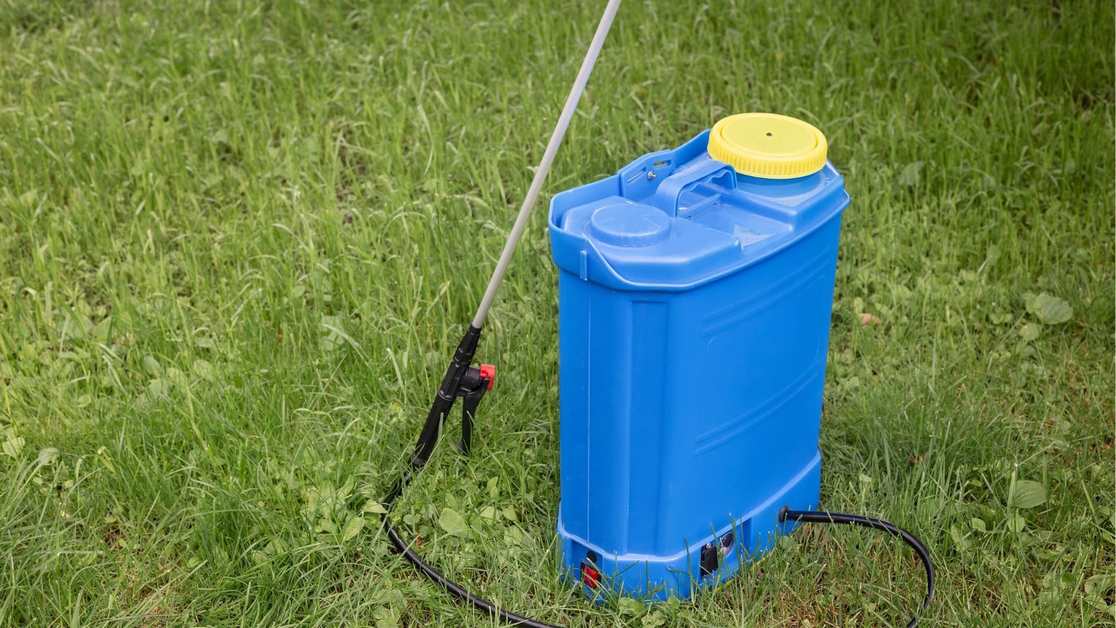 A close-up shot of a blue container filled with herbicide