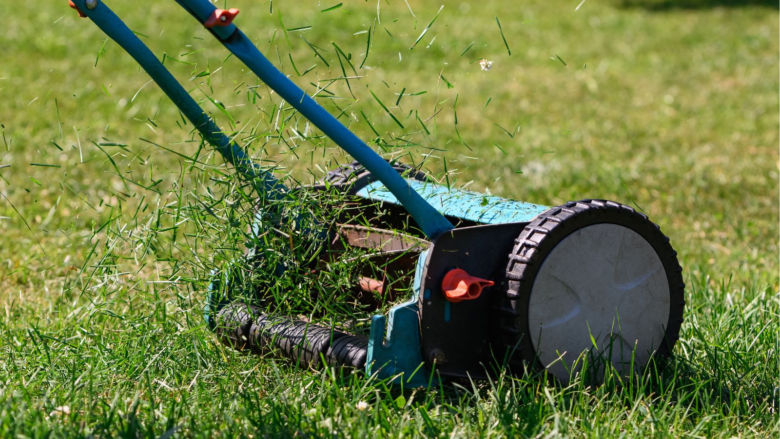 A shot of a lawnmower in the process of mowing down weeds