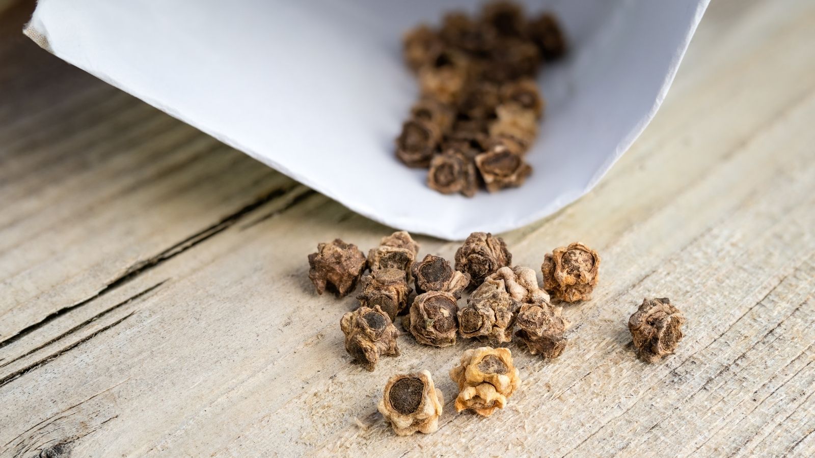 A pack of Beta vulgaris subsp. cicla seeds poured from a pure white packet on to a wooden table under bright sunlight