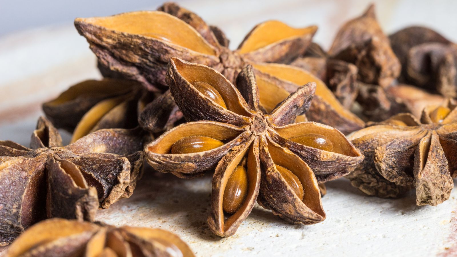 A pile of Illicium verum spice, appearing to be distinctly shaped looking like stars with round seeds in the crevices