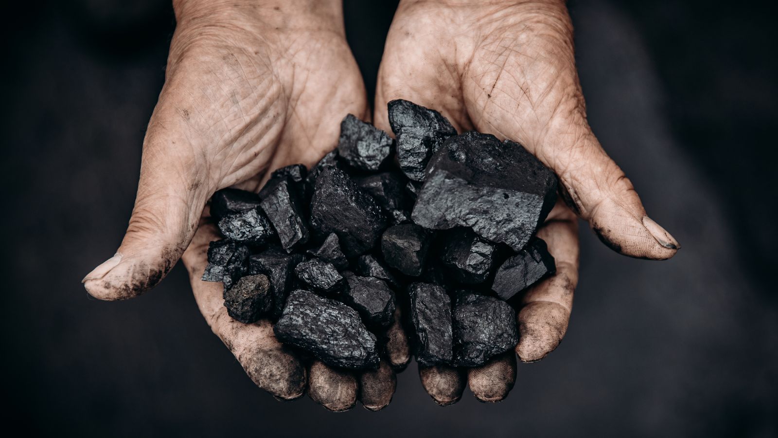 An overhead and close-up shot of a person holding a small pile of coal that is used to make fossil fuel