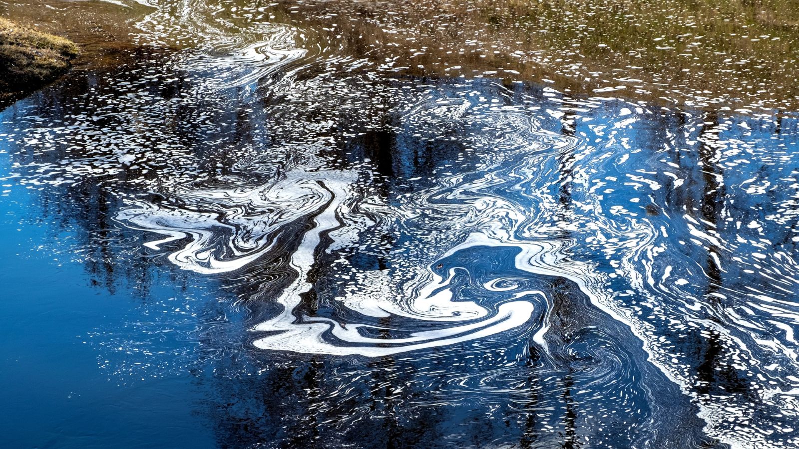 An overhead and close-up shot of a water polluted by chemical or synthetic fertilizers