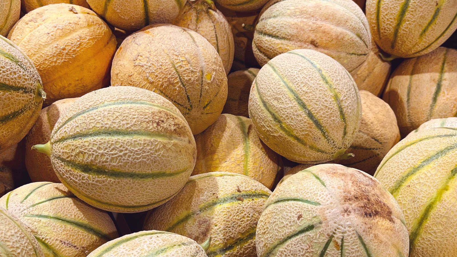 A pile of Hearts of Gold fruits placed on top of each other, appearing to have brightly colored skin