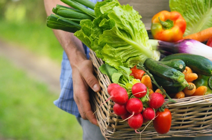 A close-up shot of a person, in the process of holding a large basket filled with harvested crops, showcasing the easiest vegetables to grow