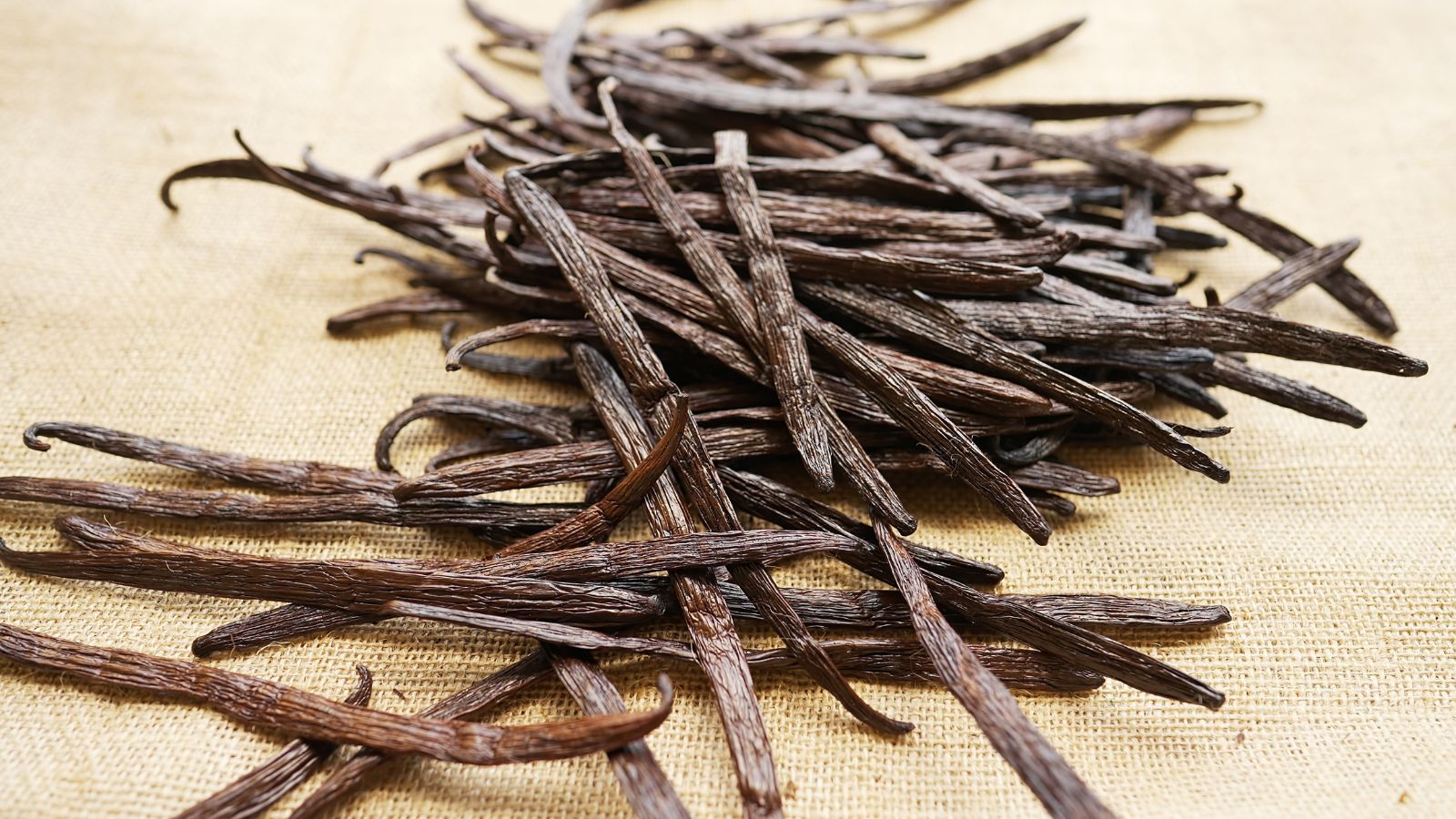 A pile of brown cured bean pods placed on top of each other, laying on a brown sheet under bright light