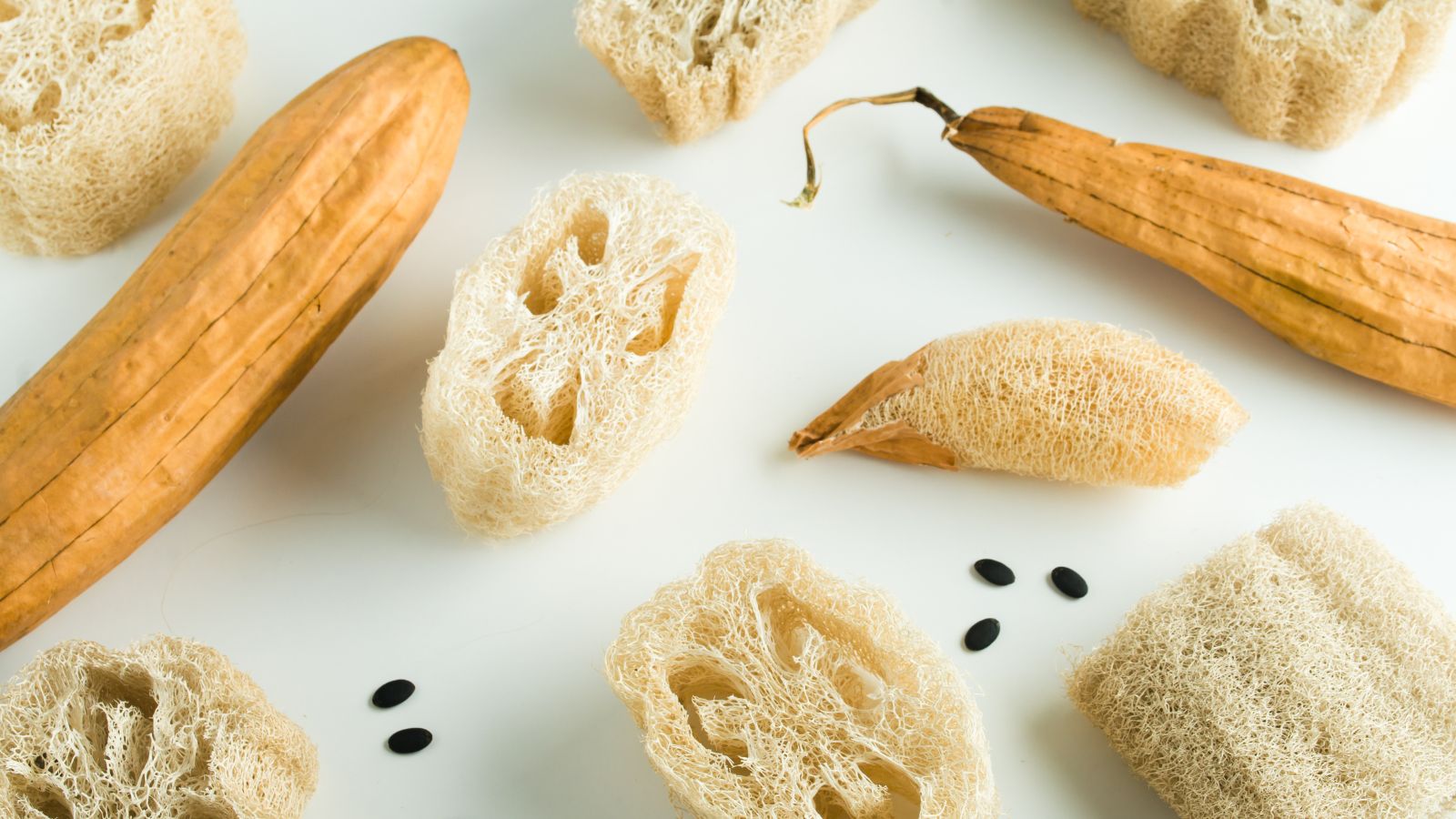 An overhead flat-lay shot of several mature crops and sponges