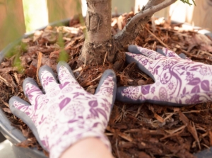 Someone wearing gloves pressing down leaf mulch on top of soil of a plant in a pot
