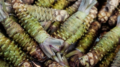 A focused shot of multiple root crops