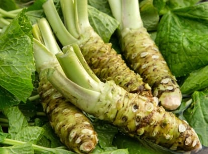 A pile of freshly harvested root crops, showcasing how to grow wasabi