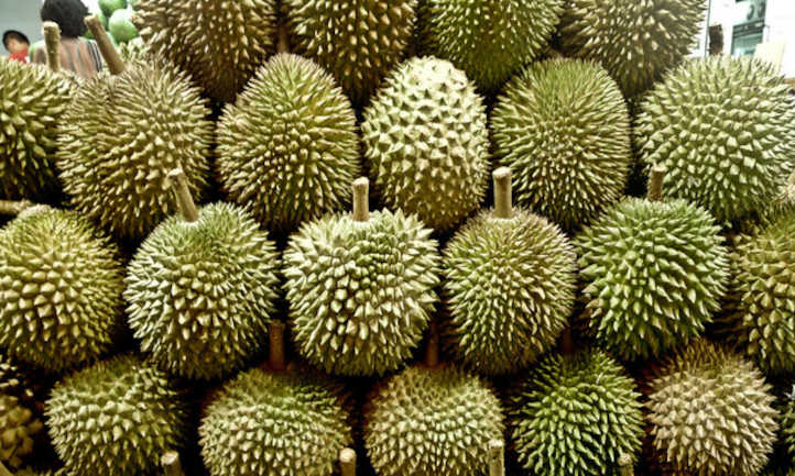 Durian fruit