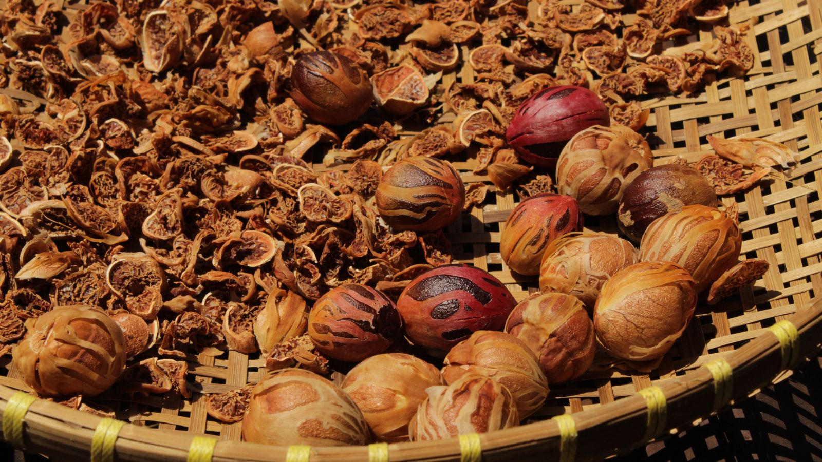 Myristica fragrans produce, processed and dried then placed in a woven basket placed somewhere with warm light